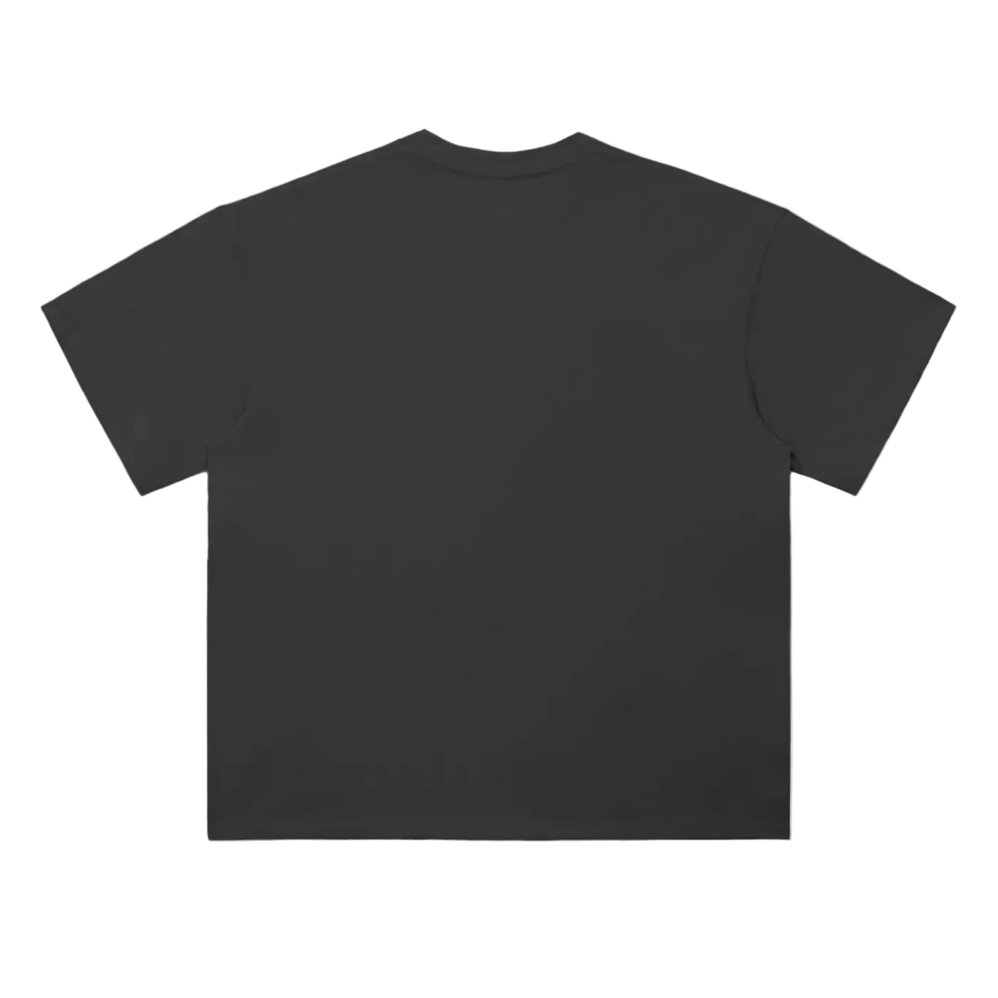 'Poppers in the moon pool' oversized tee